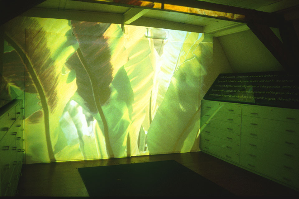 Dutch Walls | Installations