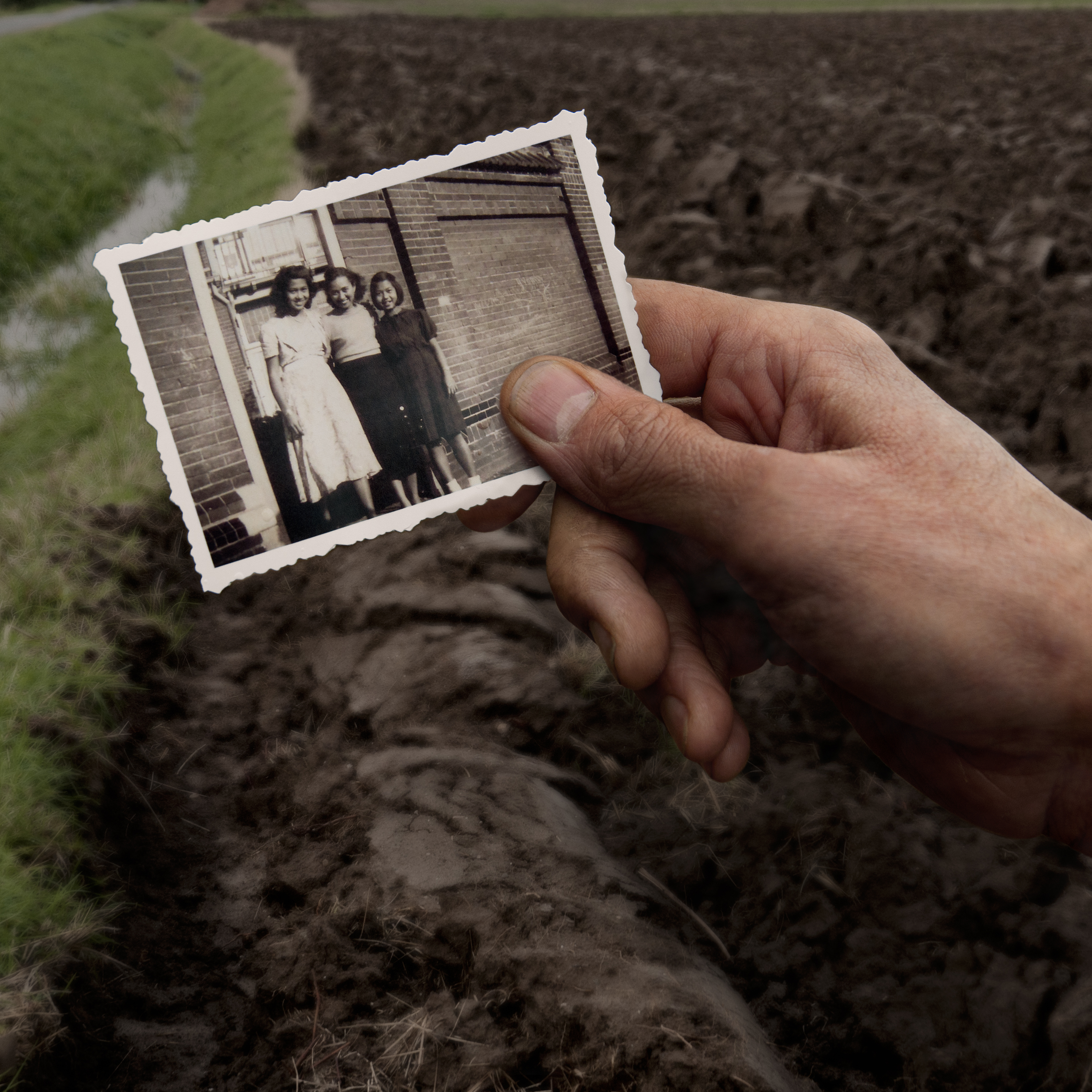 All in the Family | Land