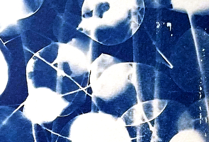 In the Garden of my Mind II